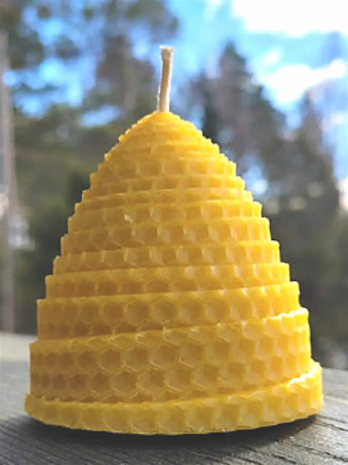 Bivaxljus - Halmkupa