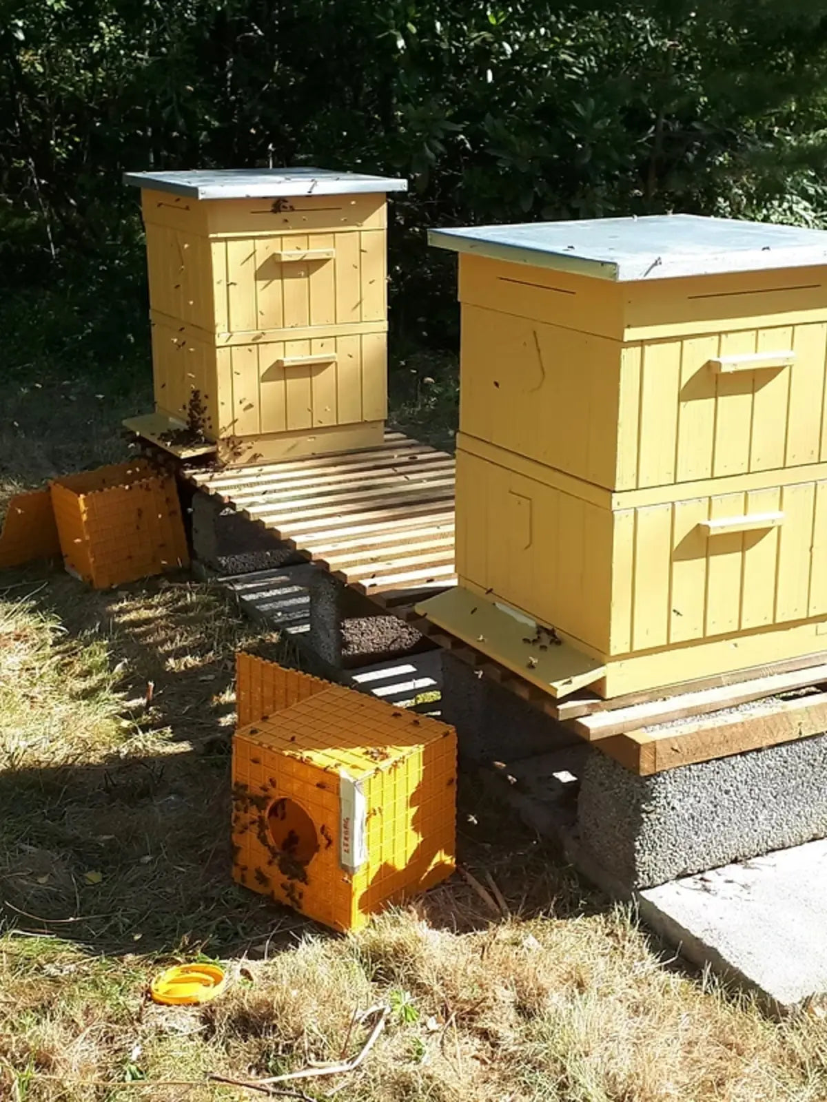 Paketbin framför bikupor efter installation.